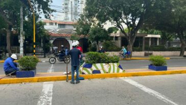 Realizan mantenimiento y recuperación de jardineras y parques de Santa Marta  