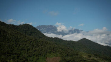 Risaralda extiende a 29.652 hectáreas el área protegida de la Cuchilla del San Juan