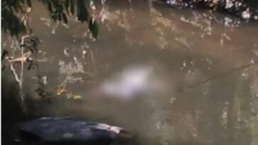 Un cuerpo sin vida fue hallado flotando en el río Roble de Montenegro