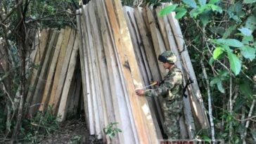 3.900 denuncias por daños al ambiente ha atendido Cormacarena