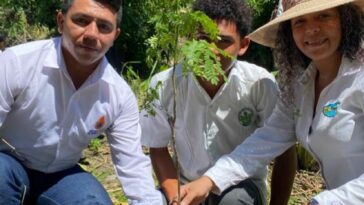 Corpamag sembró 50 árboles nativos en Zona Bananera