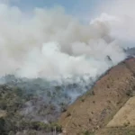 Cundinamarca, Guachetá, incendio forestal