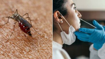 Dengue en Cundinamarca: municipios en alerta por casos de enfermedad