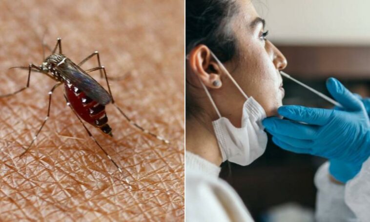 Dengue en Cundinamarca: municipios en alerta por casos de enfermedad