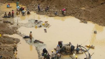 Ejército y Policía destruyen minas ilegales de oro en la Guainía