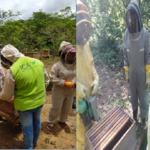 El ICA orientó a productores de Arauca sobre la protección a polinizadores