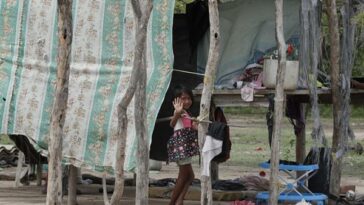 El Niño y el cambio climático amenazan de muerte al pueblo wayúu en La Guajira