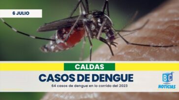 En el 2023 se han registrado 64 casos de dengue en Caldas