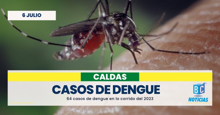 En el 2023 se han registrado 64 casos de dengue en Caldas