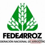 Fedearroz continúa negociaciones con Minagricultura para el apoyo a la comercialización de excedentes