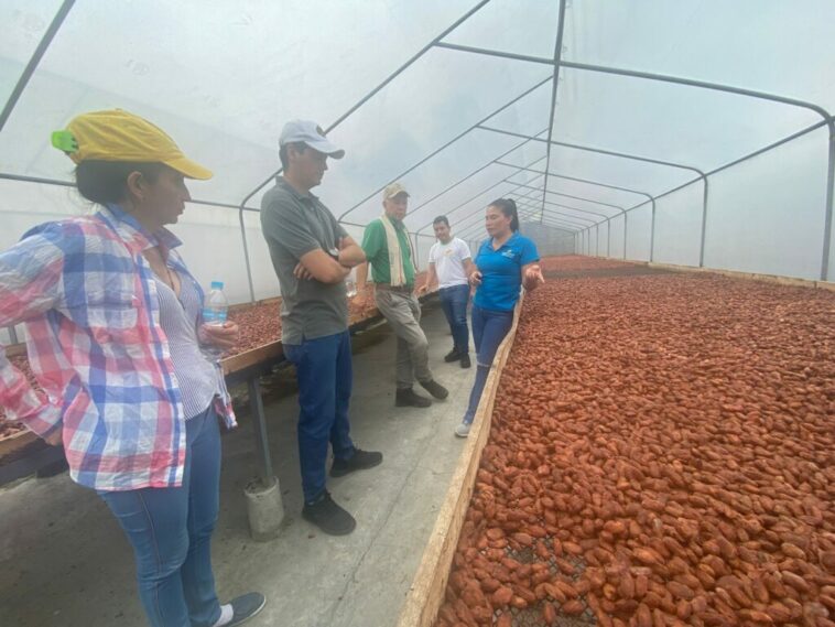 Gobernación del Huila adelantó visita técnica a Ecuador para conocer los avances en cacaocultura .