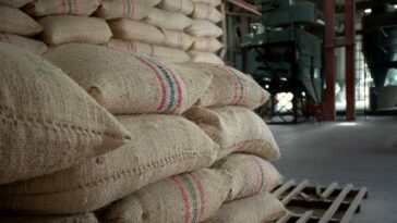 Gobierno y productores se sientan para solucionar el lío por el precio dados los excedentes de arroz en Colombia
