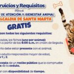 Inicia semana de esterilizaciones gratis para perros y gatos