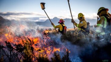 Incendios forestales 78