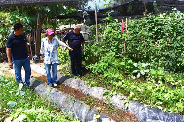 El programa agrícola seguridad alimentaria fue impulsado por los gobiernos nacional y municipal.