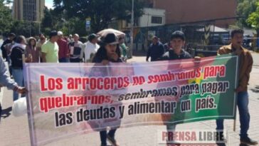 Protesta de arroceros hoy en Casanare