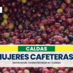 Proyecto Mujeres Cafeteras siguen sembrando sostenibilidad en Caldas