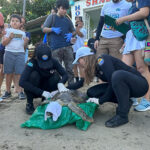 Sanan y liberan a tortuga que fue rescatada enferma  en Magdalena