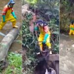 Toneladas de escombro y árboles caídos han sacado de quebradas en Pasto, buscan evitar inundaciones