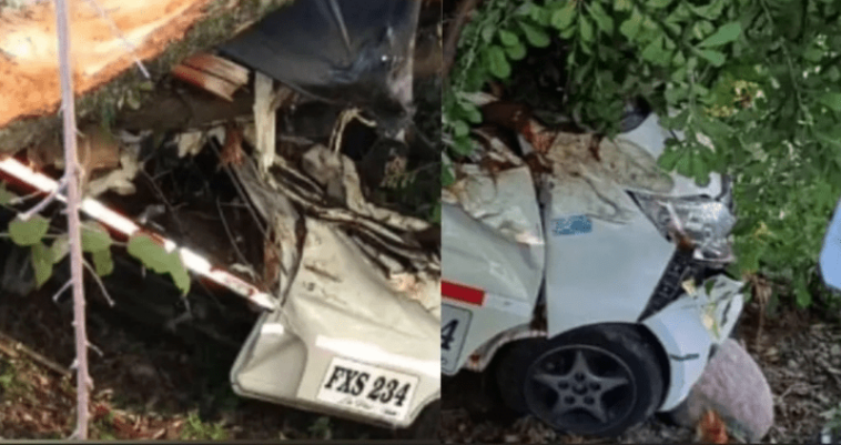 Tras chocar contra un árbol un joven perdió la vida