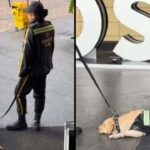 Video. Denuncia vigilante de centro comercial que arrastra perrito en Bogotá