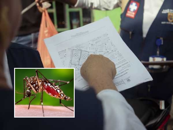 ¡Conoce los síntomas!  : Se toman medidas contra el dengue en Cali