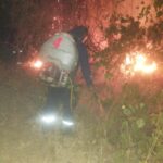 103 incendios forestales, afectan 1.540 hectáreas de vegetación en el Huila.
