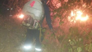 103 incendios forestales, afectan 1.540 hectáreas de vegetación en el Huila.