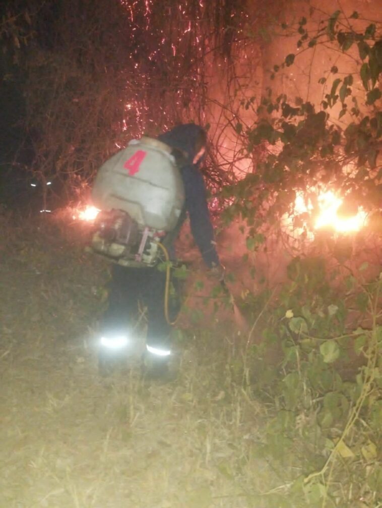 103 incendios forestales, afectan 1.540 hectáreas de vegetación en el Huila.