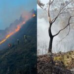 43 de los 47 municipios del Tolima están en alerta roja, según el IDEAM