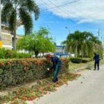 Alcaldía garantiza mantenimiento permanente de zonas verdes