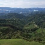 Asociación productora de café trabaja conservando bosques.