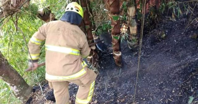 Aumentan los incendios de cobertura vegetal: en lo corrido de agosto se han presentado 17