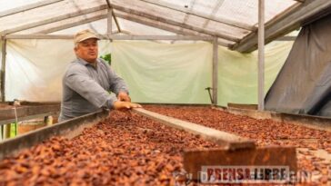 Campesinos del Meta exportaron a Alemania primer cargamento de cacao “especial”