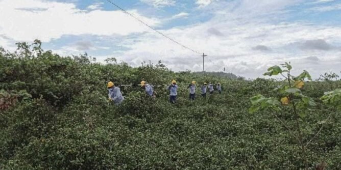 Cerca de 4 mil familias del Pacífico Nariñense se beneficiarán con interconexión de energía eléctrica