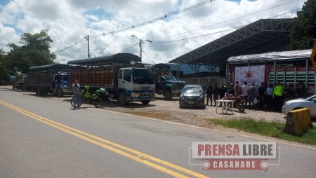 Cinco hombres y una mujer a la cárcel por secuestro y hurto de ganado en Paratebueno