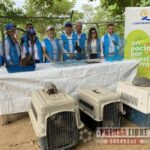 Corporinoquia comprometida con la protección de la vida silvestre de Arauca