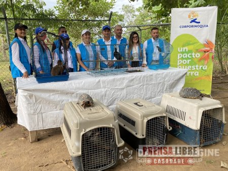 Corporinoquia comprometida con la protección de la vida silvestre de Arauca