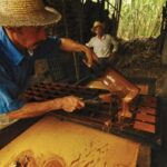 Cundinamarca: CAR vincula a ganaderos y paneleros de Facatativá para promover practicas amigables con el medio ambiente