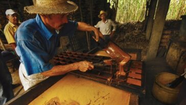 Cundinamarca: CAR vincula a ganaderos y paneleros de Facatativá para promover practicas amigables con el medio ambiente