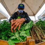 Cundinamarca: Mercado floricultor este 6 de agosto en Madrid