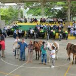 En Risaralda todavía ‘ruedan’ vehículos de tracción animal