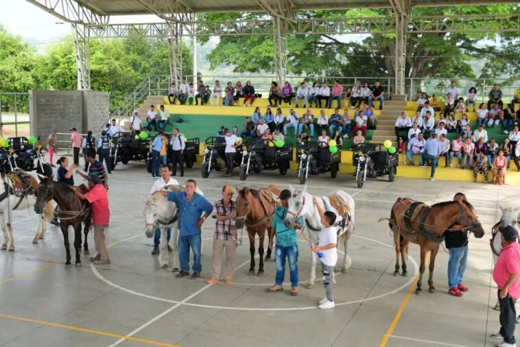 En Risaralda todavía ‘ruedan’ vehículos de tracción animal