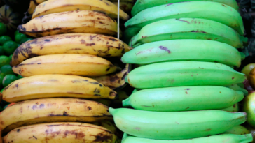 Hay subienda de plátano con precios bajos en el Mercado del Sur