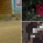 Investigan asesinato de tres personas en un barrio de Íquira