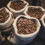 La producción de café a julio registró una baja anual de 11%
