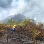 Más de 10.000 metros cuadrados de hectáreas han sido afectadas con 24 incendios de cobertura vegetal