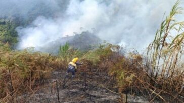 Más de 10.000 metros cuadrados de hectáreas han sido afectadas con 24 incendios de cobertura vegetal