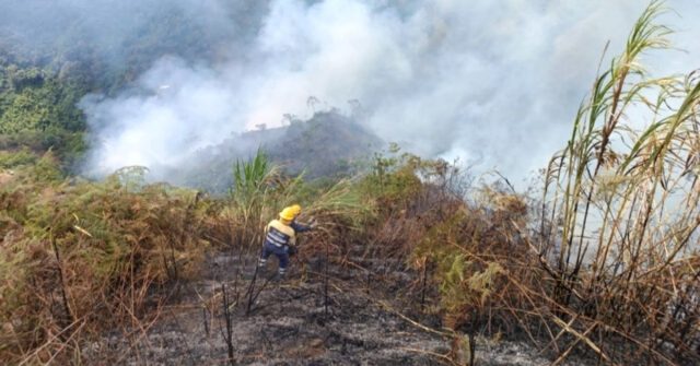 Más de 10.000 metros cuadrados de hectáreas han sido afectadas con 24 incendios de cobertura vegetal