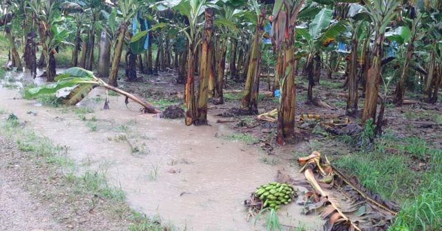 Pese a las últimas lluvias registradas en el Quindío, el fenómeno de El Niño no ha finalizado